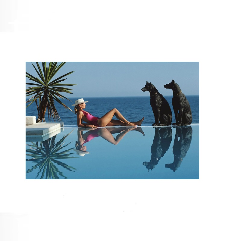 Retro Poolside Host Luxe leven - Luxury Lifestyle Pictures recensie en prijs